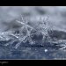 snowflakes-3