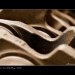 Motor_sepie