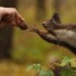 priroda-wildlife-2011_small