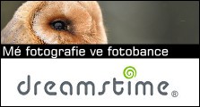 dreamstime