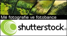 shutterstock