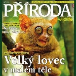 priroda-9-2012-intro