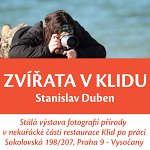 Pozvanka-na-vystavu-zvirata-v-klidu-intro