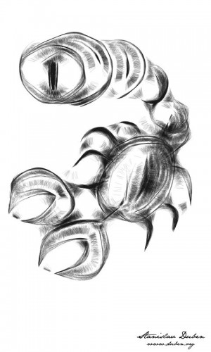 stir