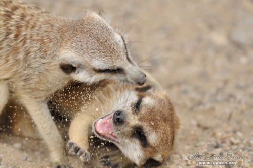 zoo_praha_akce_canon_zoom_2012_05