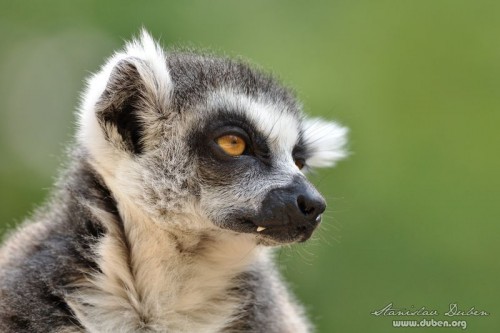 zoo_praha_akce_canon_zoom_2012_09