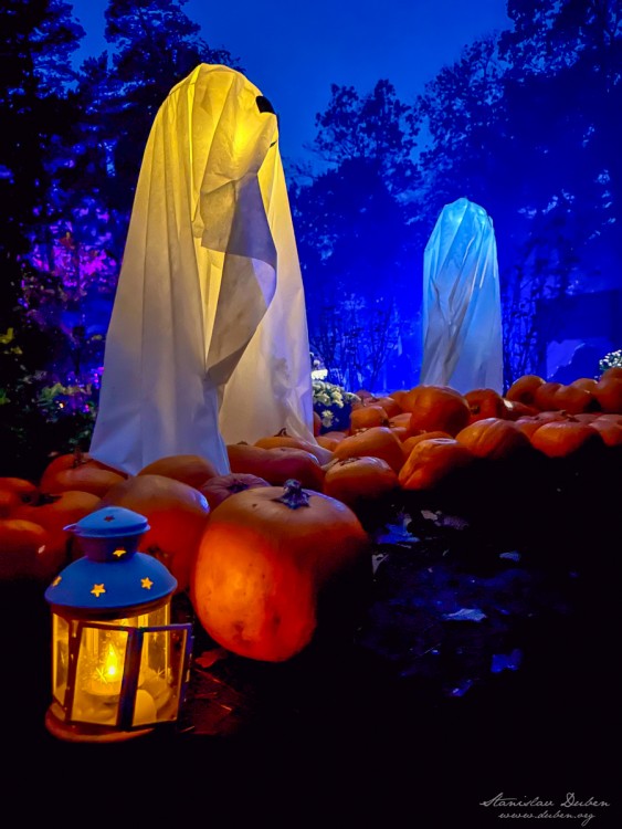 haloween botanicka zahrada 2025 05