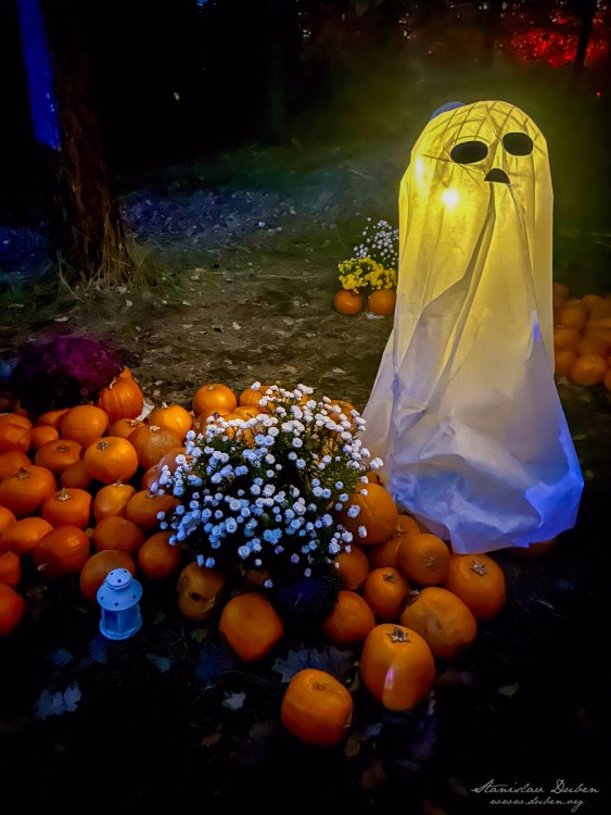 haloween botanicka zahrada 2025 06