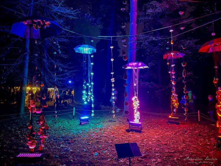 haloween botanicka zahrada 2025 07