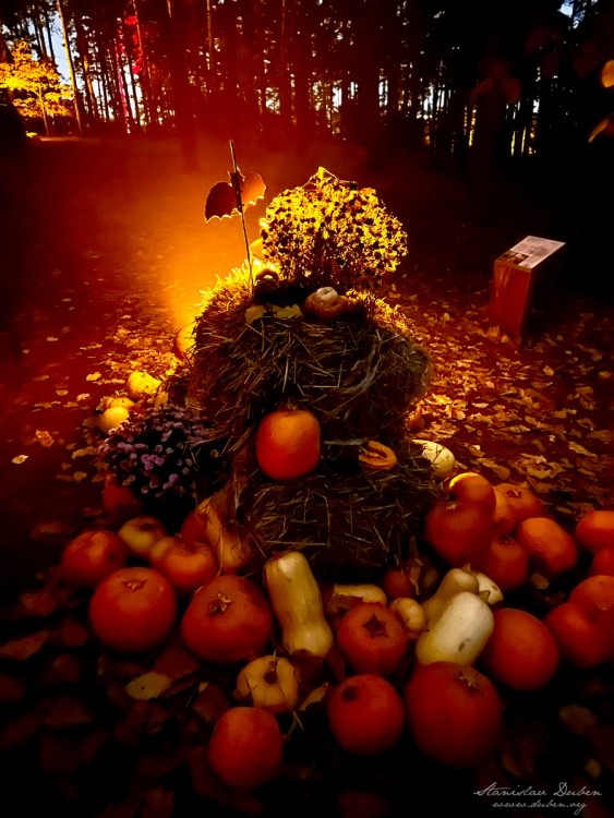 haloween botanicka zahrada 2025 08