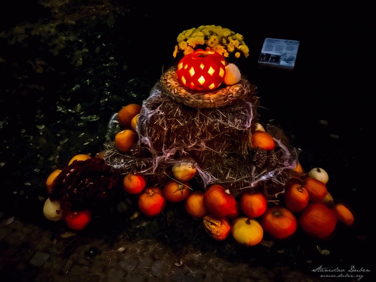 haloween botanicka zahrada 2025 11