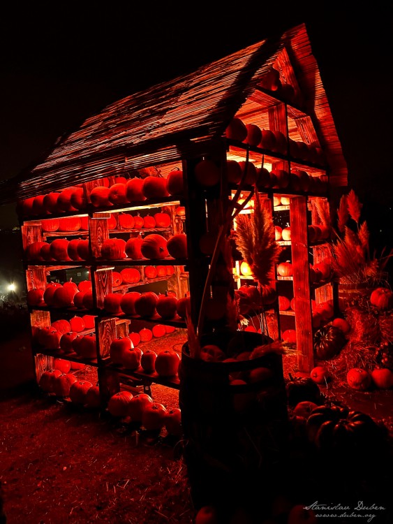 haloween botanicka zahrada 2025 14