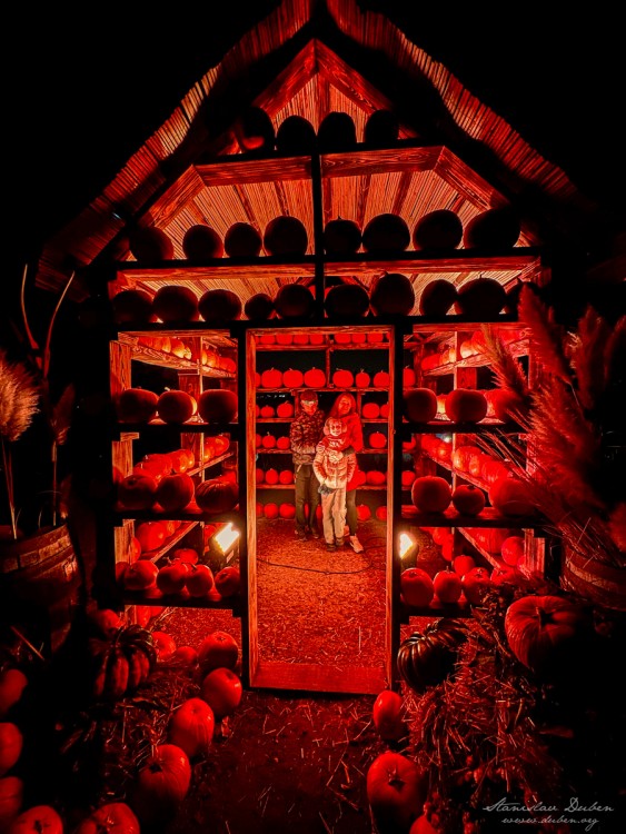 haloween botanicka zahrada 2025 15