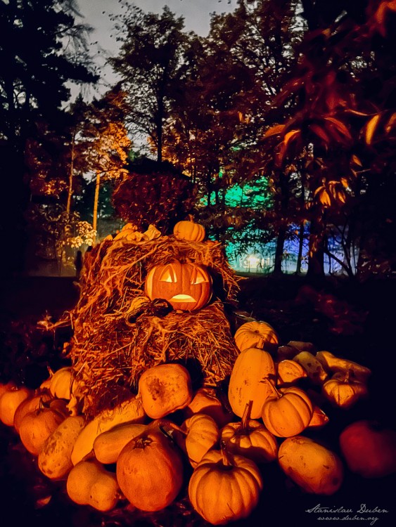 haloween botanicka zahrada 2025 17