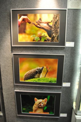 minigalerie-fotoskoda-priroda-wildlife-2011-1