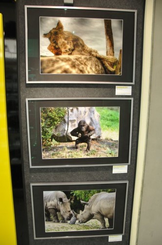 minigalerie-fotoskoda-priroda-wildlife-2011-2