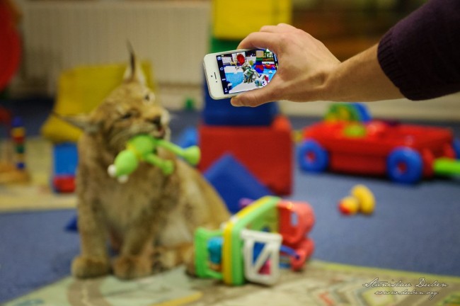 I přes časté vyrušování místních paparazzi,