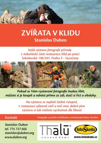 Pozvanka-na-vystavu-zvirata-v-klidu-1024