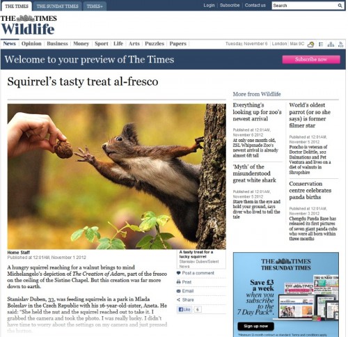 The-Times-2012-11-01